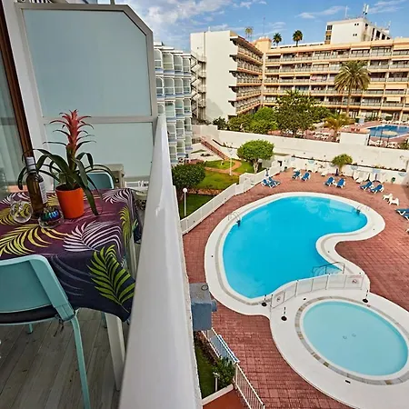 Appartement Parrot's House- Yumbo Center *